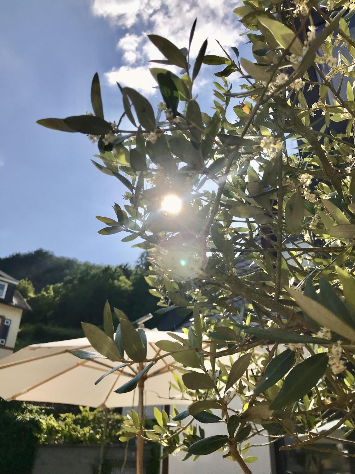 Hotel Villa Vie קוכם מראה חיצוני תמונה